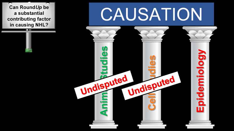 Three pillars of causation: Animal Studies & Cell Studies undisputed